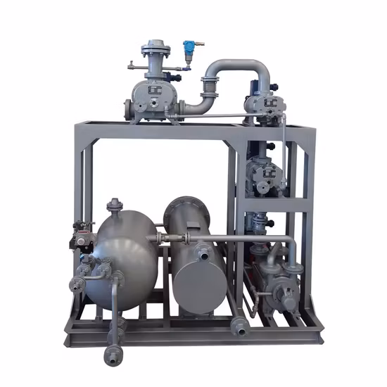 400 m3/H 2bw3131 Anello liquido 2BV6131 Unità pompa a vuoto